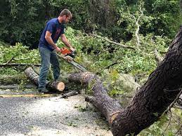 Mulching Services in Farragut, TN